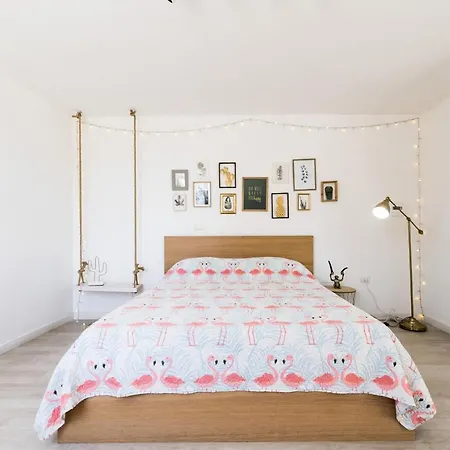 Flamingo Bed and breakfast 3*