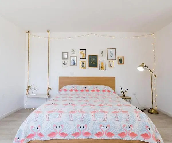 Flamingo Bed and Breakfast 4*