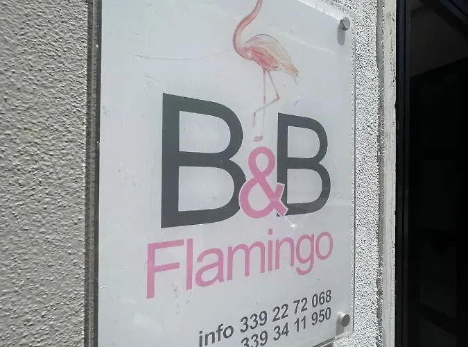 Flamingo