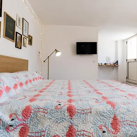 Nocleg ze śniadaniem Flamingo Pompeja