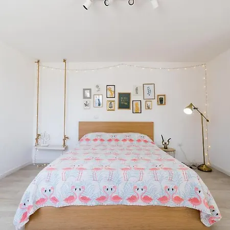 Flamingo Nocleg ze śniadaniem 4*