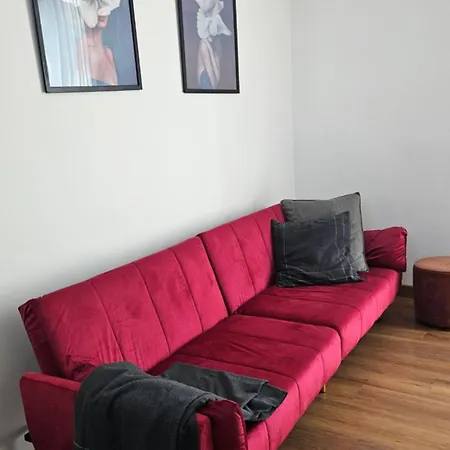 Flamingo Nocleg ze śniadaniem