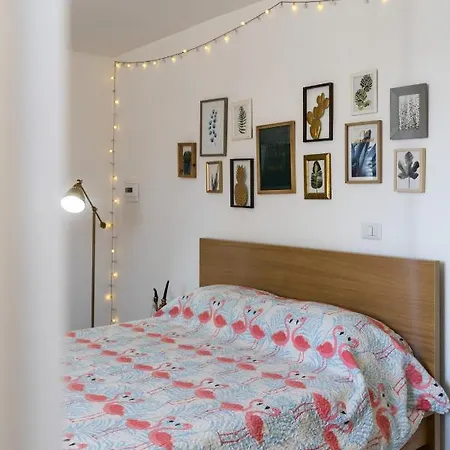 Flamingo