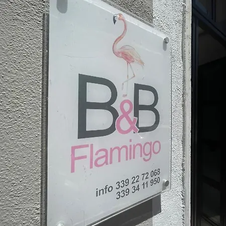 Flamingo