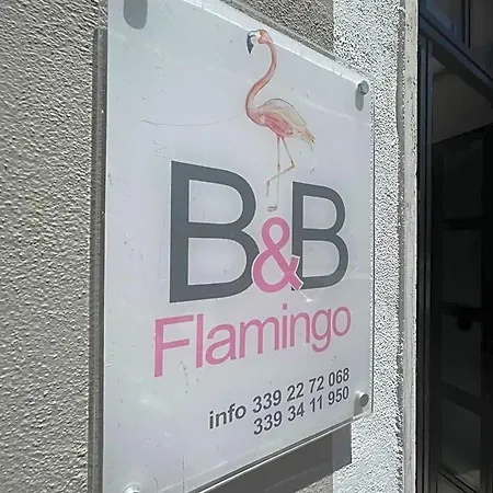 Flamingo Couette-café 3*