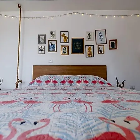 Couette-café Flamingo 3*